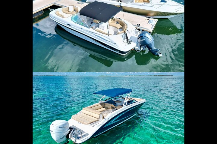 Private Half Day Stingray City, Snorkeling and Starfish Beach Tour - Photo 1 of 10